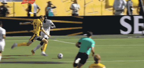 12.gif