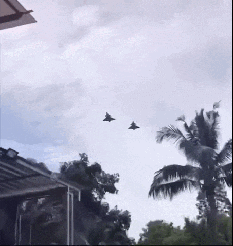6.gif