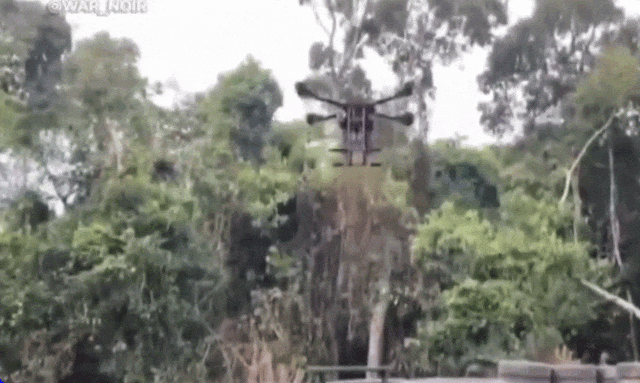 24.gif