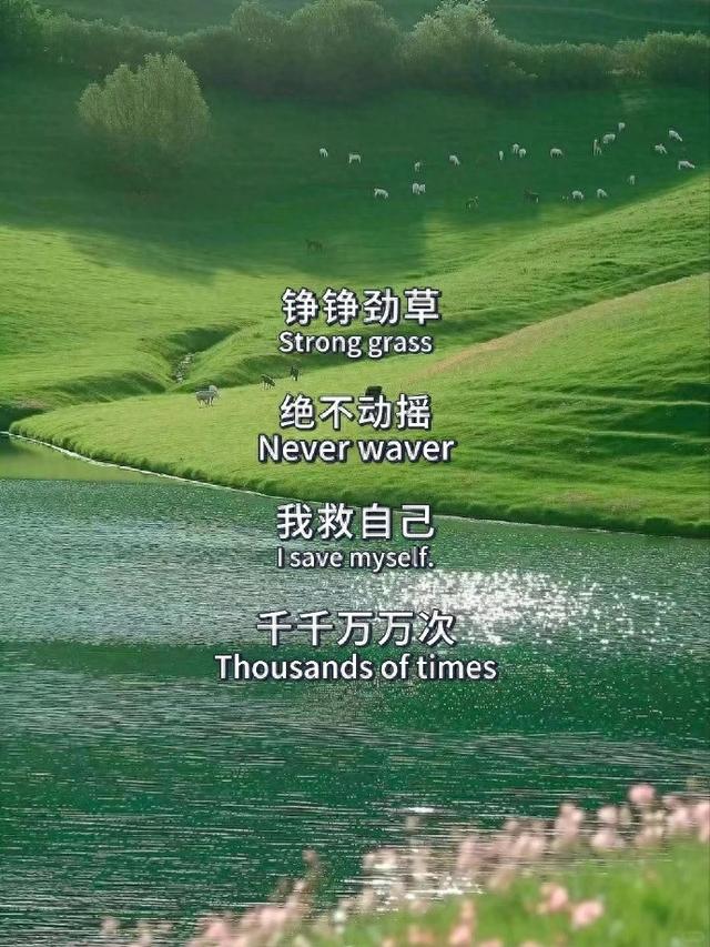 1.jpeg