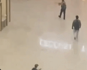 17.gif