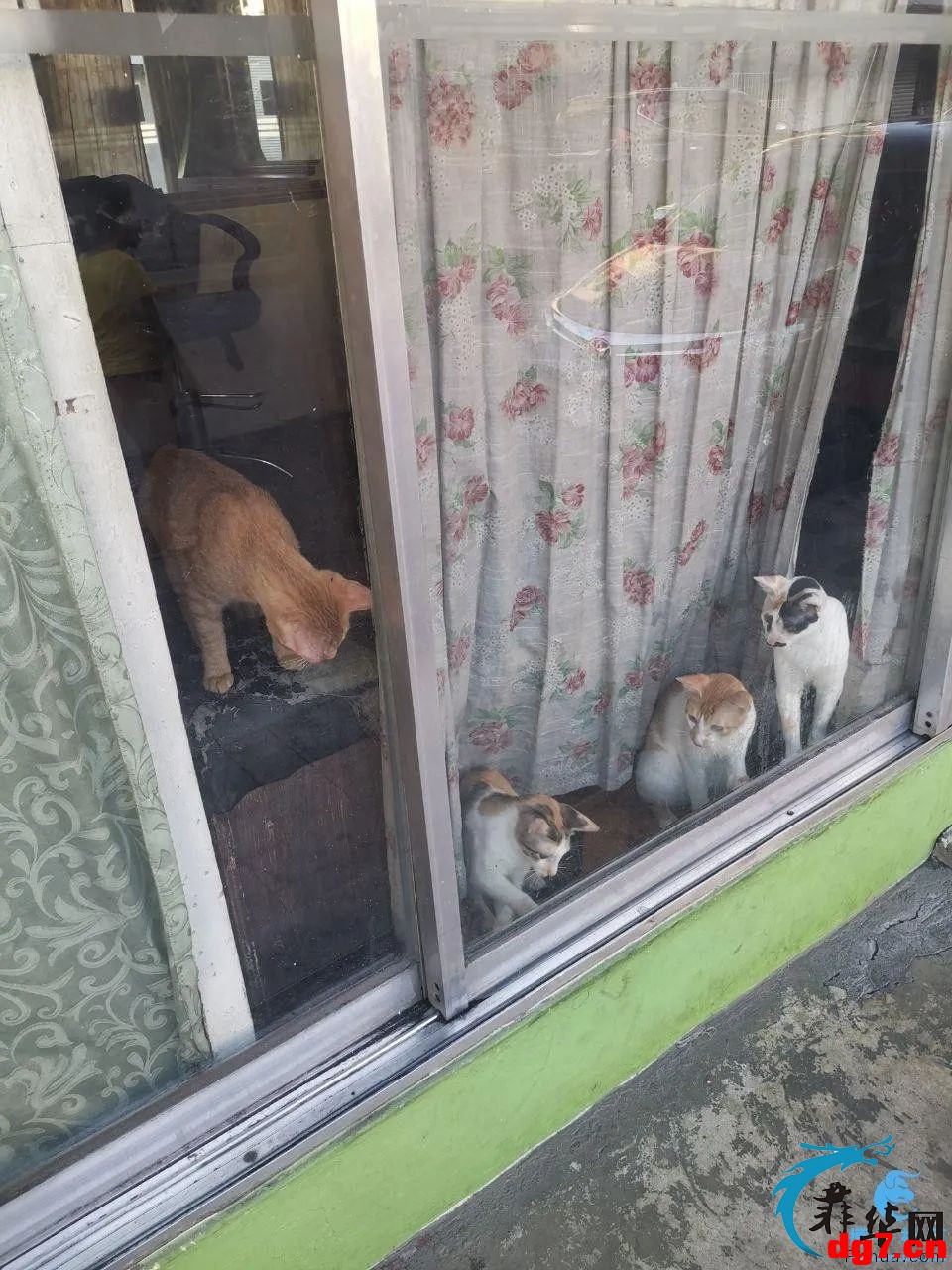 7.jpeg