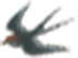 10.png