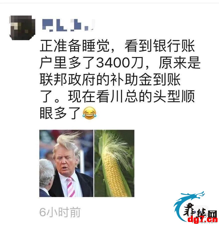 7.jpeg