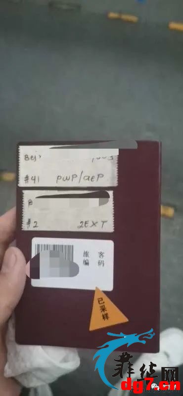 7.jpeg