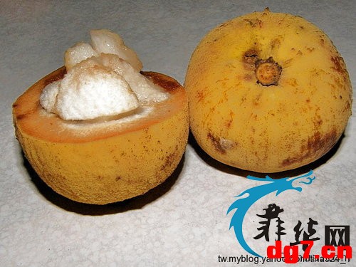 8.jpeg