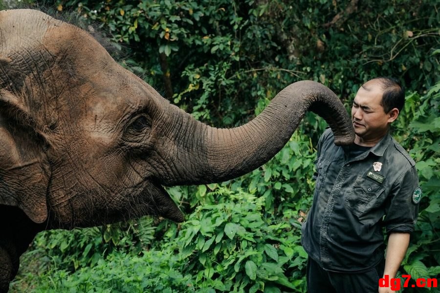 1.jpeg