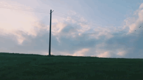 5.gif