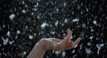 3.gif