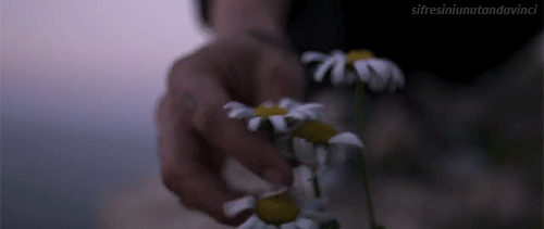 6.gif