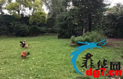 1.jpeg