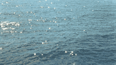 1.gif