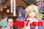 13.jpeg