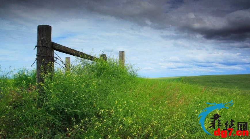 1.jpeg