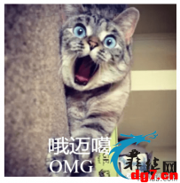 今天怪怪的 不小心就被人套路了一下~