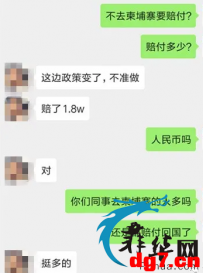 菜农爆料：封城禁赌！在菲中国网赌公司跑路杀回西港 离职赔付高到离谱