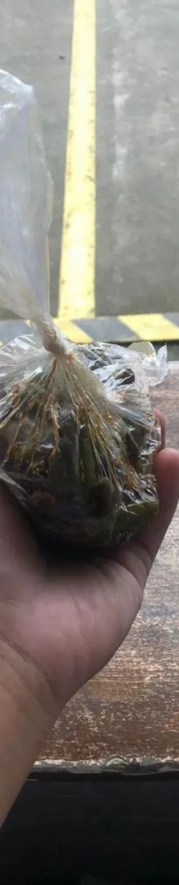 从一个疑似的菲律宾泔水菜 解释一个菲律宾找媳妇儿的小问题