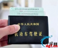 菲总统侄女非法驾驶也会被查，菲国驾照相关事宜需要了解