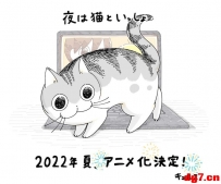 [04.26][转载新闻]漫画《关于养猫我一直是新手》动画化，2022年夏季播出