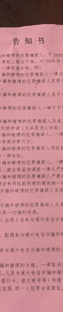 持续跟进劝返事件 战地记者和狗群主有话要说